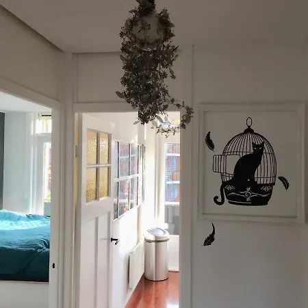 Amsterdam: Supermooi Tweekamer-appartement Amsterdam